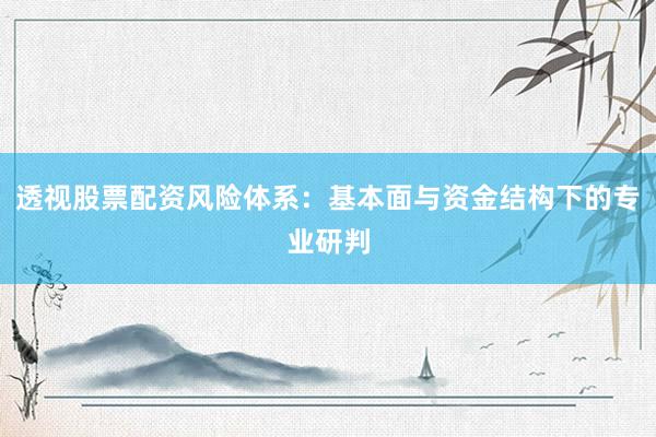 透视股票配资风险体系：基本面与资金结构下的专业研判