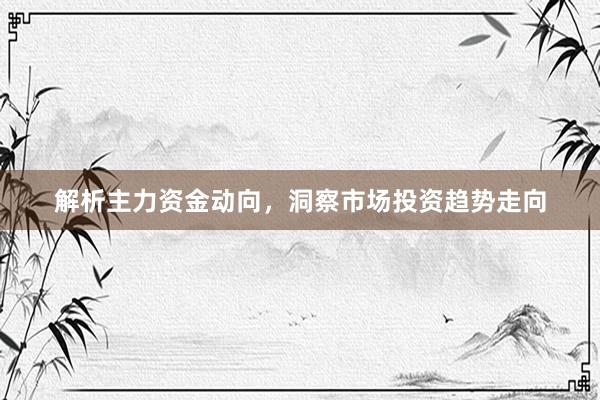 解析主力资金动向，洞察市场投资趋势走向