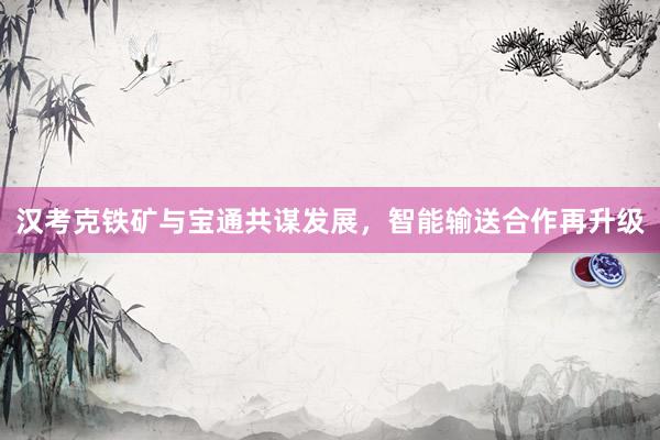 汉考克铁矿与宝通共谋发展，智能输送合作再升级
