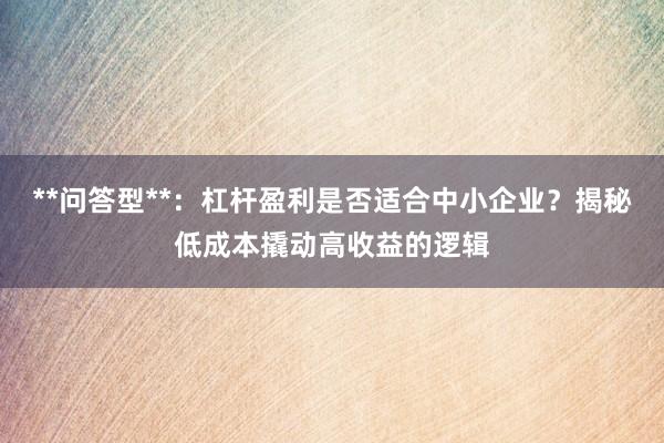 **问答型**：杠杆盈利是否适合中小企业？揭秘低成本撬动高收益的逻辑