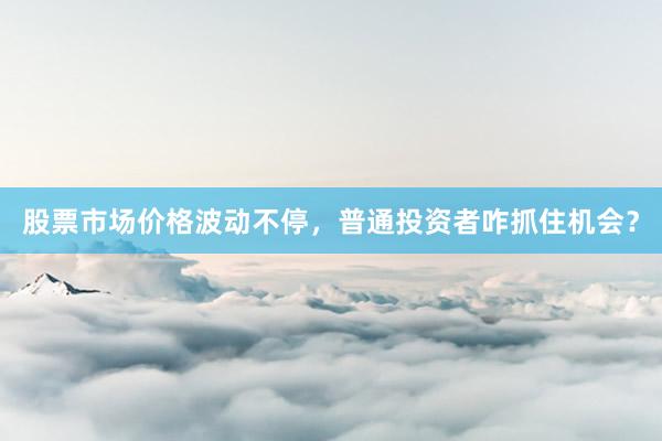 股票市场价格波动不停，普通投资者咋抓住机会？